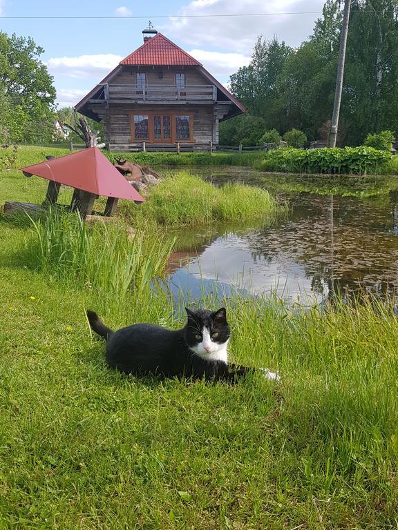 Bellas Namins Cēsis Exteriér fotografie