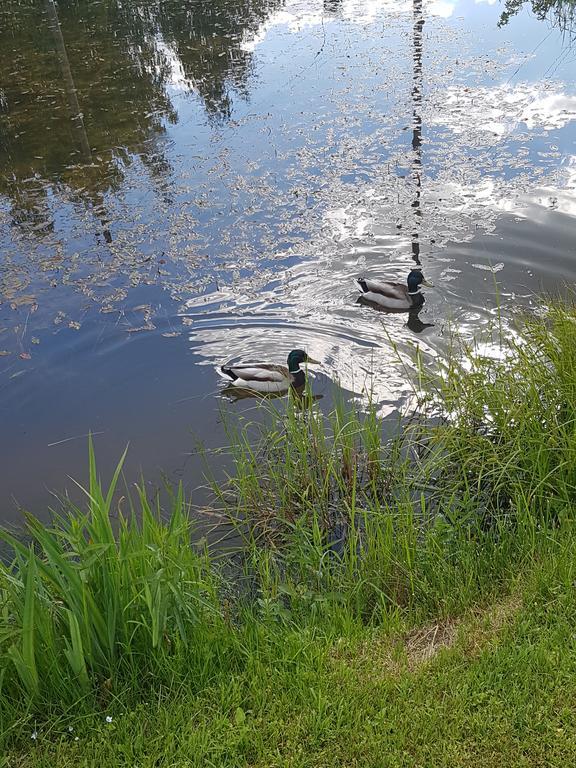 Bellas Namins Cēsis Exteriér fotografie